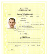 Dyplom mistrzowski, zawodowy